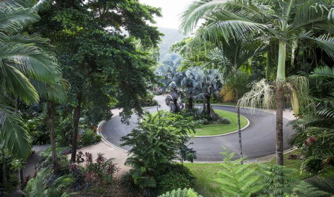 Oasis At Palm Cove - Lismore Accommodation 7