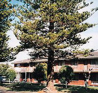 Eastern Beach Holiday Units - Lismore Accommodation