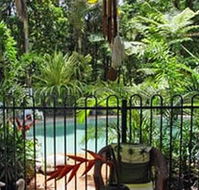 Daintree Rainforest Retreat Motel - Lismore Accommodation