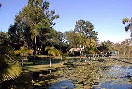 Twin Lakes Hotel - Lismore Accommodation 0