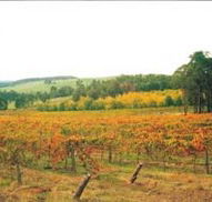 Byramgou Park - Lismore Accommodation