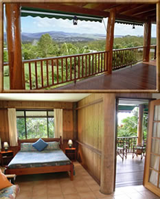 Atherton Blue Gum - Lismore Accommodation 0