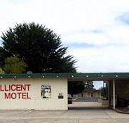 Millicent Motel - Lismore Accommodation