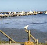 Seaview Motel and Holiday Units - Lismore Accommodation