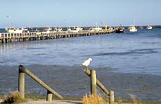 Seaview Motel And Holiday Units - Lismore Accommodation 0