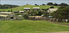 Cape Schanck VIC Lismore Accommodation