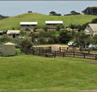 Ace Hi Riding Ranch - Lismore Accommodation