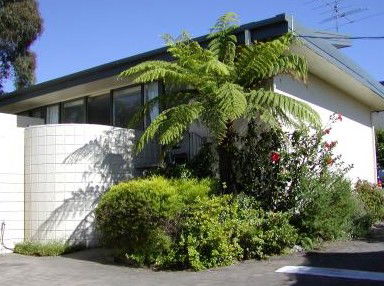 Penguin Mews - Lismore Accommodation 3