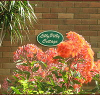 Lillypilly - Lismore Accommodation