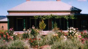 Old Wallinga Country - Lismore Accommodation 0
