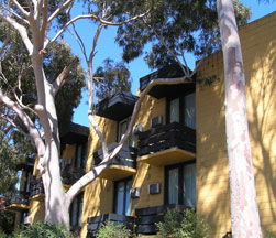 Pathfinder Motel - Lismore Accommodation 1