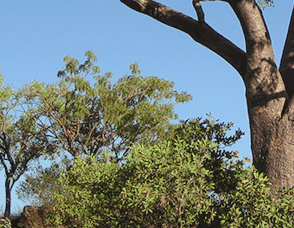 Lakeview Apartments Kununurra - Lismore Accommodation 3