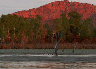 Lakeview Apartments Kununurra - Lismore Accommodation 4