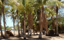 King Sound Resort Hotel - Lismore Accommodation