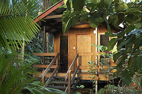 Cape Tribulation QLD Lismore Accommodation