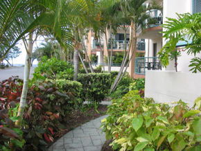 Pacific Place Apartments - Lismore Accommodation 5