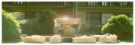Best Western Tall Trees Motel - Lismore Accommodation 2