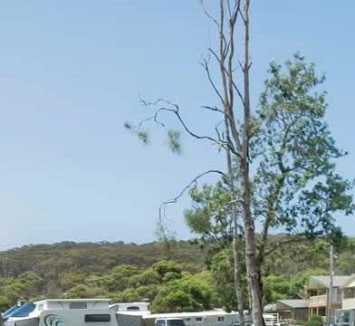 Merry Beach Caravan Park - Lismore Accommodation 2