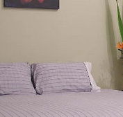 Stingo Hotel - Lismore Accommodation