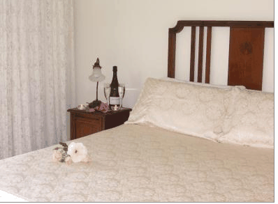 Catton Hall Country Homestead - Lismore Accommodation 3