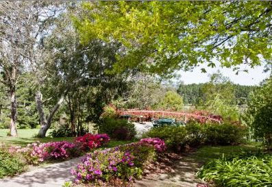 Bilpin Resort - Lismore Accommodation 2