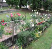 Kintail Homestay - Lismore Accommodation