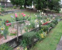 Kintail Homestay - Lismore Accommodation 0