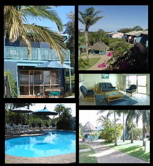 Pandanus Palms Resort - Lismore Accommodation 1