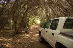 Nampara Cabins - Lismore Accommodation 1