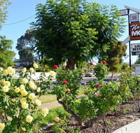 Narrogin Motel - Lismore Accommodation