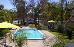 Stuart Caravan Park - Lismore Accommodation 1