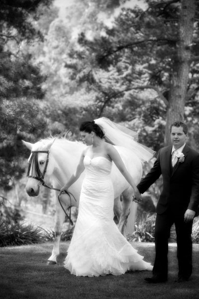 Tally Ho Lodge - Lismore Accommodation 6