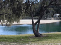 Ocean View Apartments - Lismore Accommodation 3