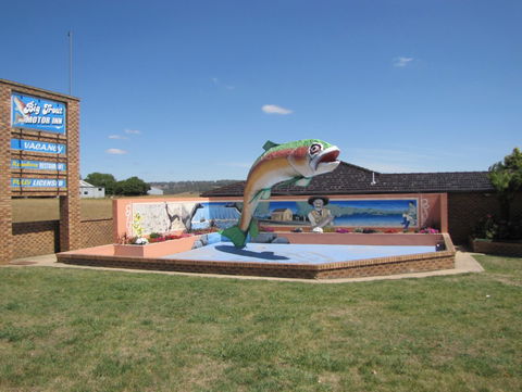 The Big Trout Motor Inn - Lismore Accommodation 0