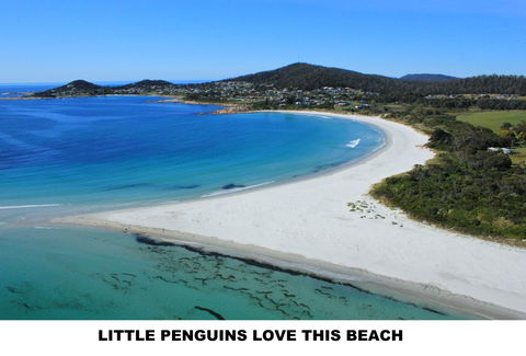 Diamond Island Resort - Lismore Accommodation 5