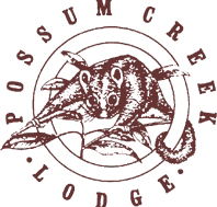 Possum Creek Lodge - Lismore Accommodation