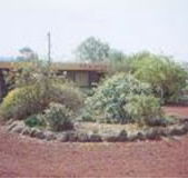 Beaufort Motel - Lismore Accommodation