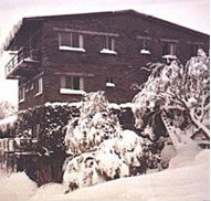 Elk at Falls - Lismore Accommodation