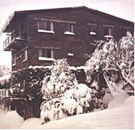 Elk At Falls - Lismore Accommodation 0