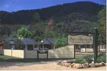 The Silver Birches Holiday Village - Lismore Accommodation 0