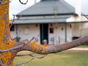 Dunalan Cottage - Lismore Accommodation 0