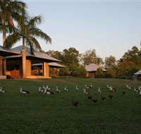 Feathers Sanctuary