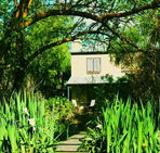 Dennis Cottage - Lismore Accommodation