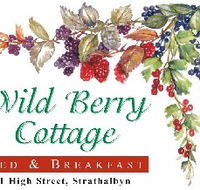 Wild Berry Cottage - Lismore Accommodation
