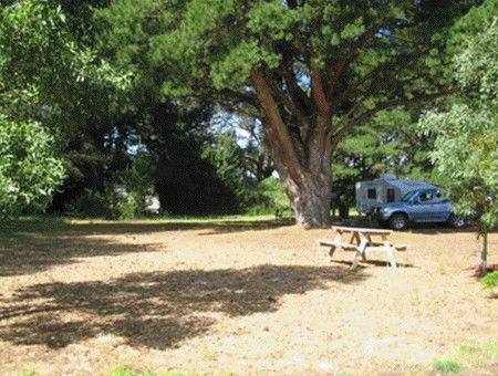 Millicent Hillview Caravan Park - Lismore Accommodation 1