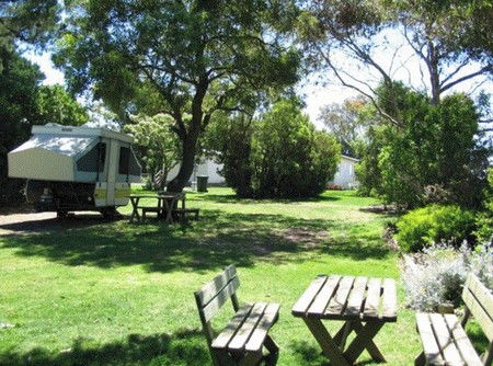 Millicent Hillview Caravan Park - Lismore Accommodation 3