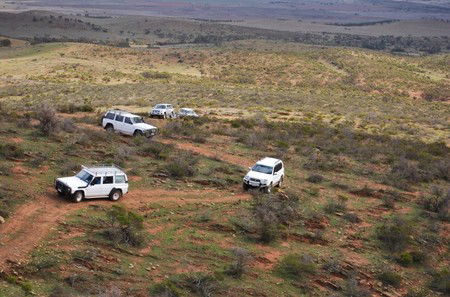 Willangi Bush Escapes - Lismore Accommodation 2
