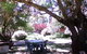 Memory Lane Accommodation - thumb 1