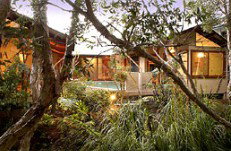 Absolute Karuna - Lismore Accommodation 5