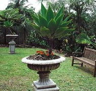 Bangalow Retreat - Lismore Accommodation
